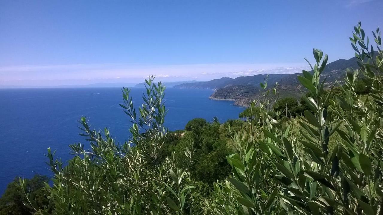Hotel La Giada Del Mesco Levanto Bagian luar foto